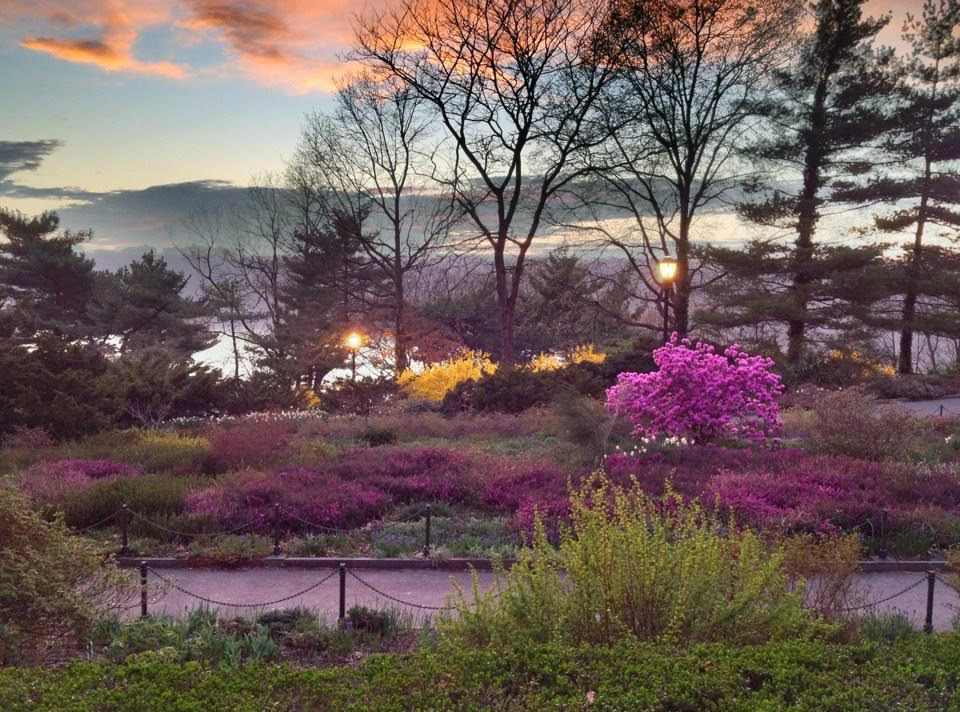 Snap & Win: Enter the Winter Photo Contest for Free Fort Tryon Park Swag!