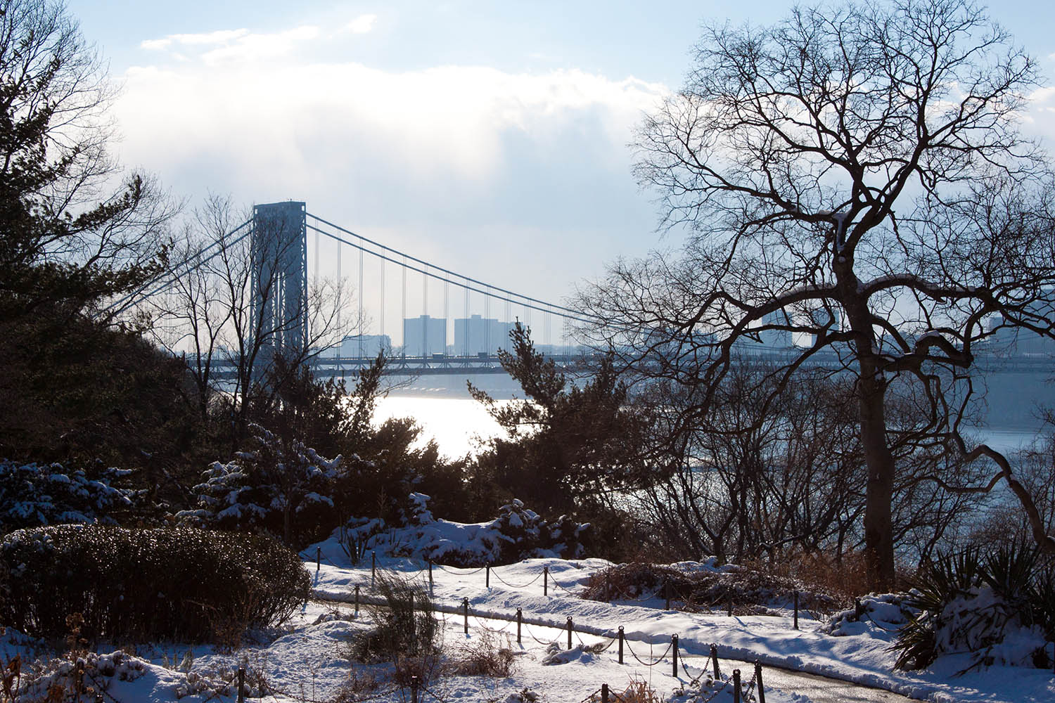 Giving Tuesday Triumph: Over $21,000 Raised to Enhance Fort Tryon Park!