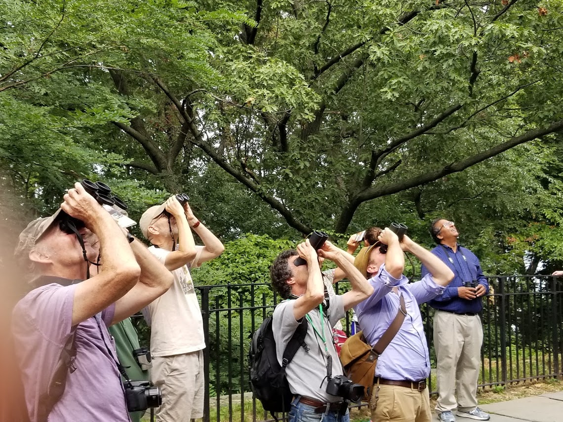 Join Us for a Guided Birding Tour Sunday February 2nd!