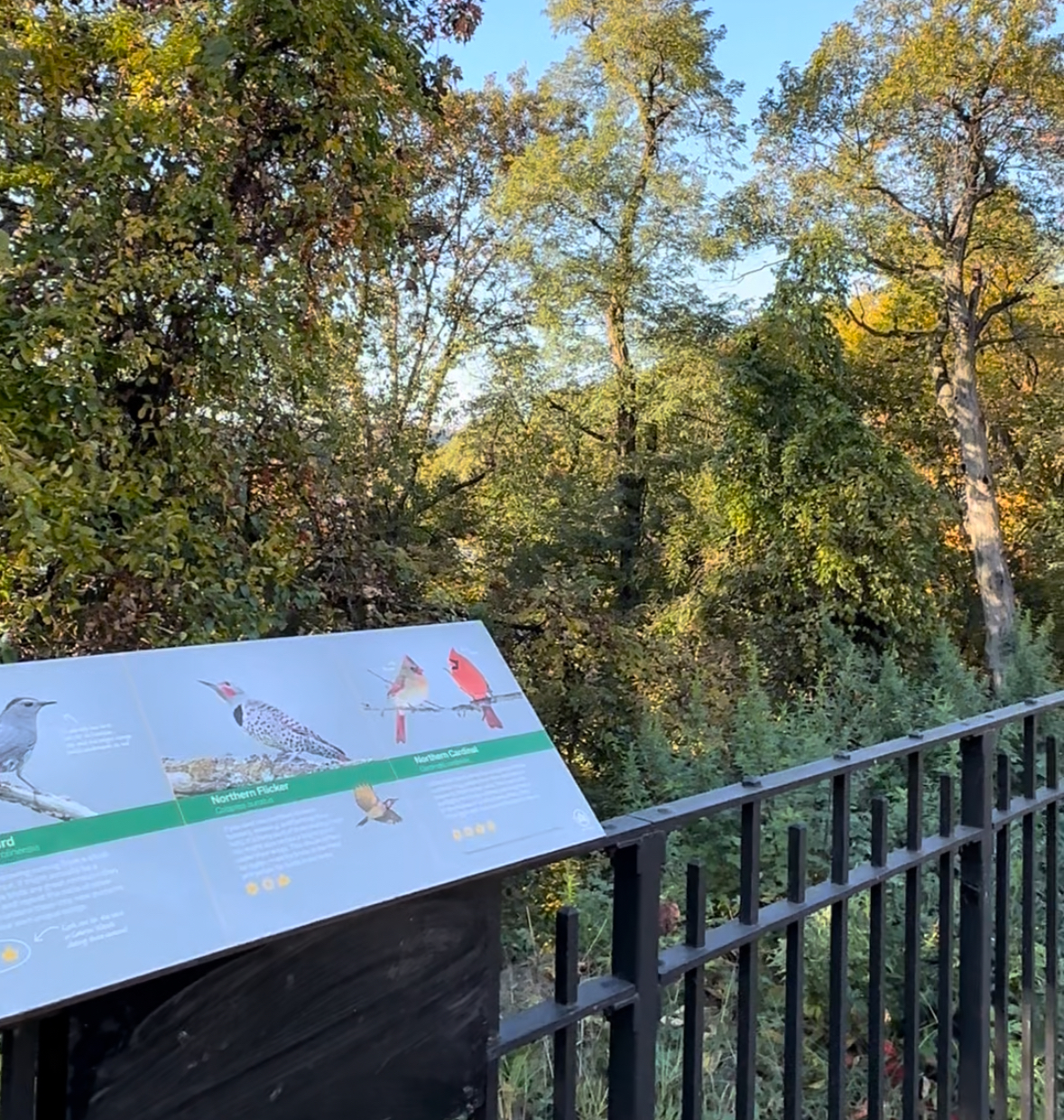 NEWS: Cabrini Woods Nature Sanctuary to Reopen Thanks to Anonymous Donation