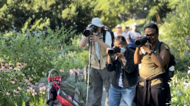 Spring is Here! Upcoming Events: MIGRATION BIRDING, SCANDIA MUSIC FESTIVAL & MORE!