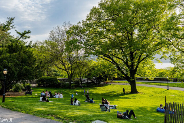 NEWS: Billings Lawn Reopens to the Public