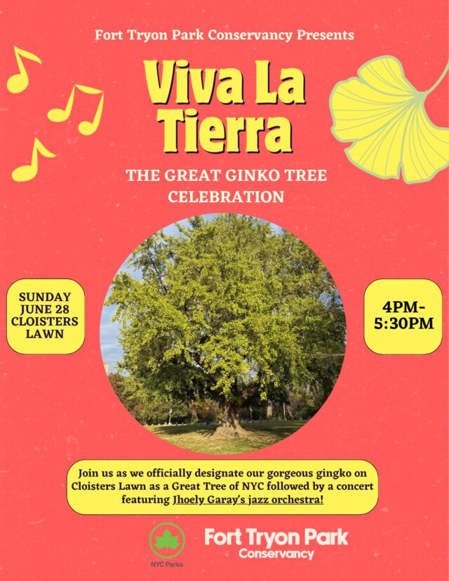THIS SUNDAY: Viva La Tierra Great Ginko Tree Ceremony at Cloisters Lawn