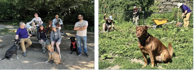 Help Beautify Your Dog Run! NEW Monthly Volunteer Days!